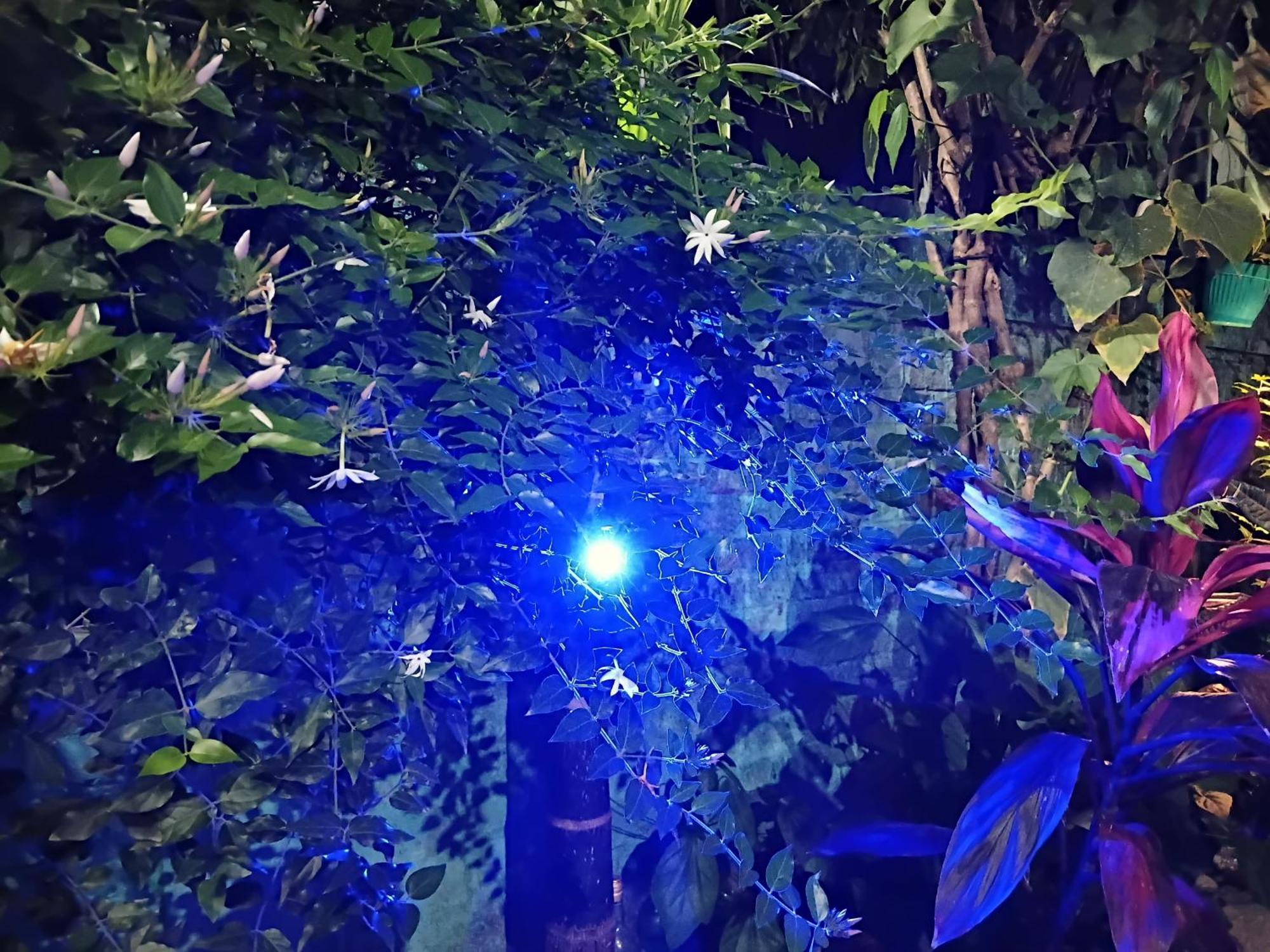 Green View Homestay 실리구리 외부 사진